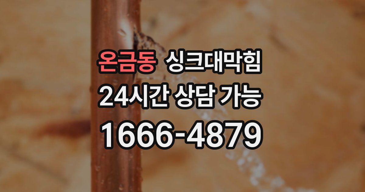 온금동 싱크대 뚫기