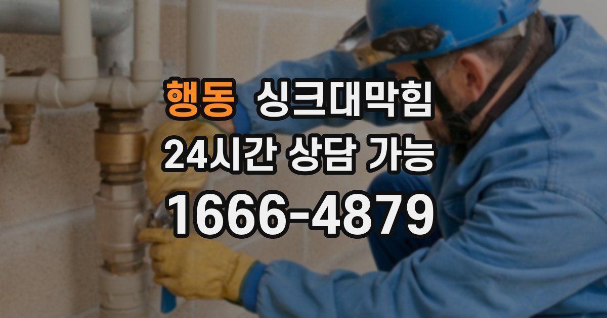 행동 싱크대 뚫기