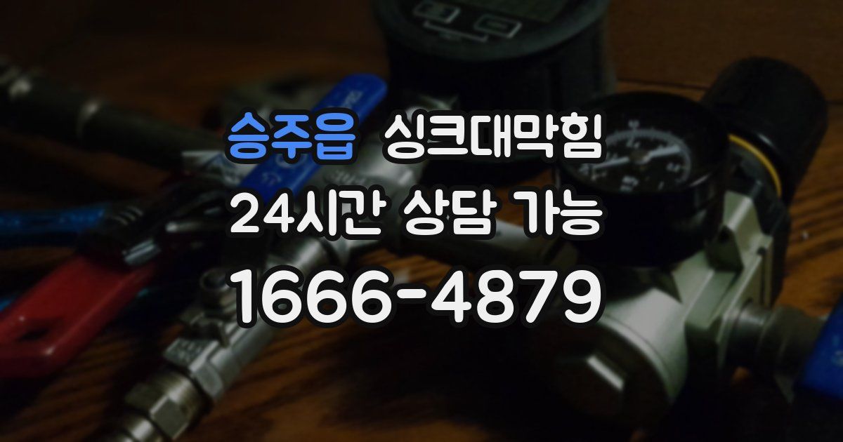 승주읍 싱크대 뚫기