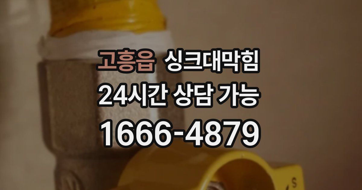 고흥읍 싱크대 뚫기