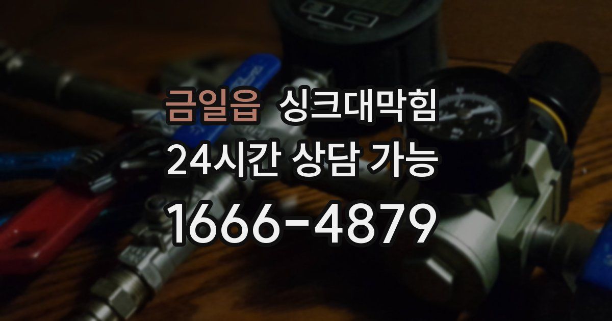 금일읍 싱크대 뚫기