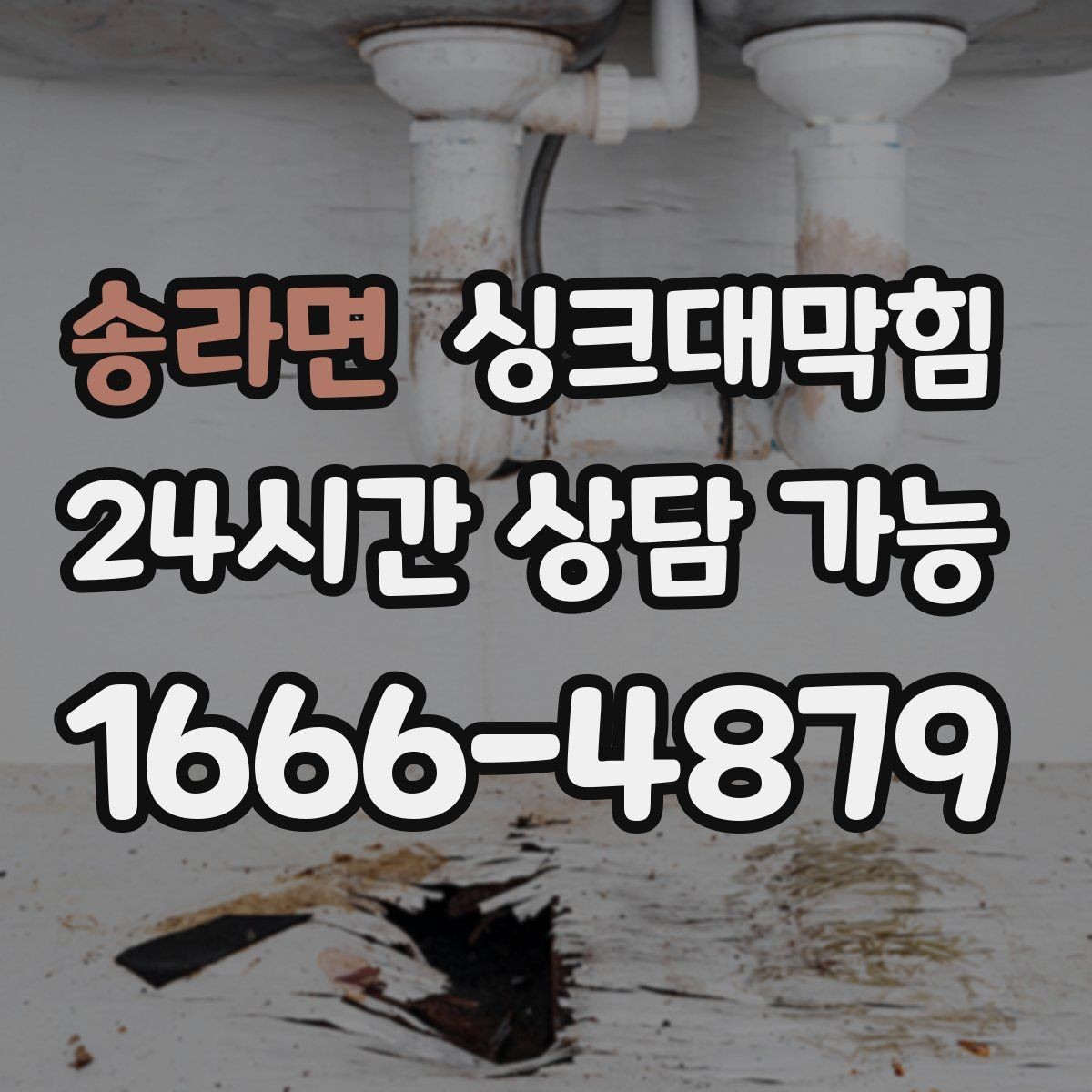 송라면 싱크대막힘 상가 주방 배수구막힘 동선 관리