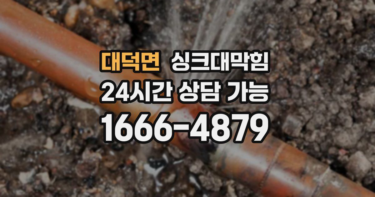 대덕면 싱크대 뚫기