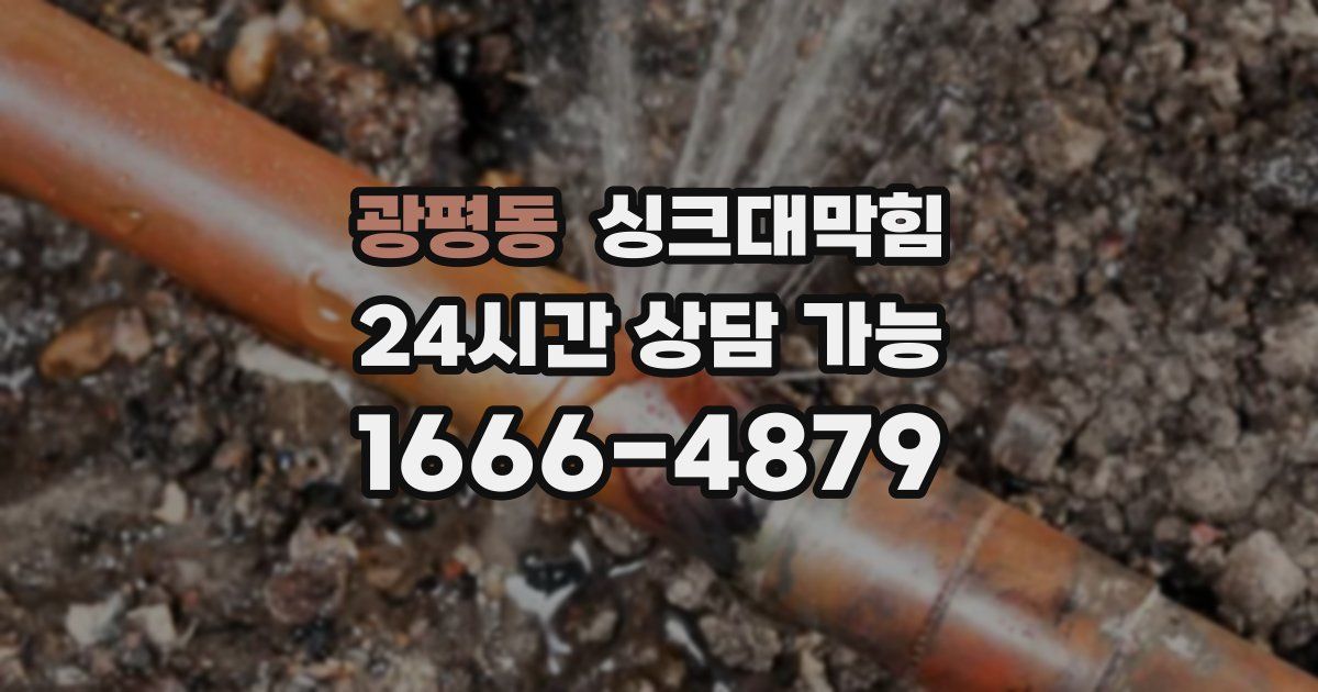 광평동 싱크대 뚫기