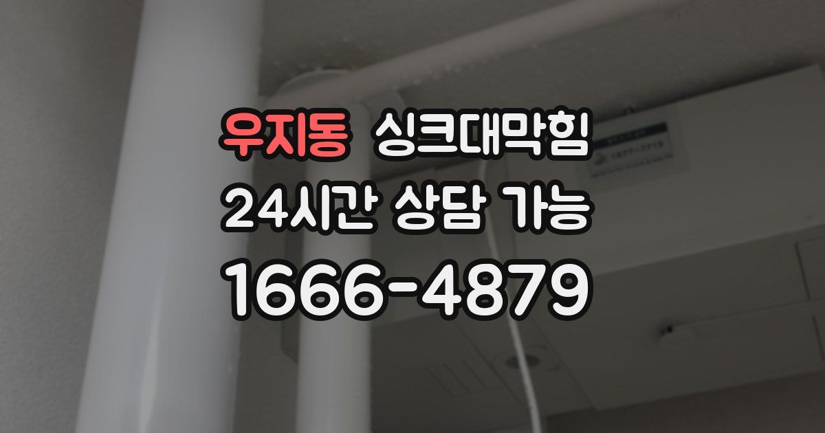 우지동 싱크대 뚫기