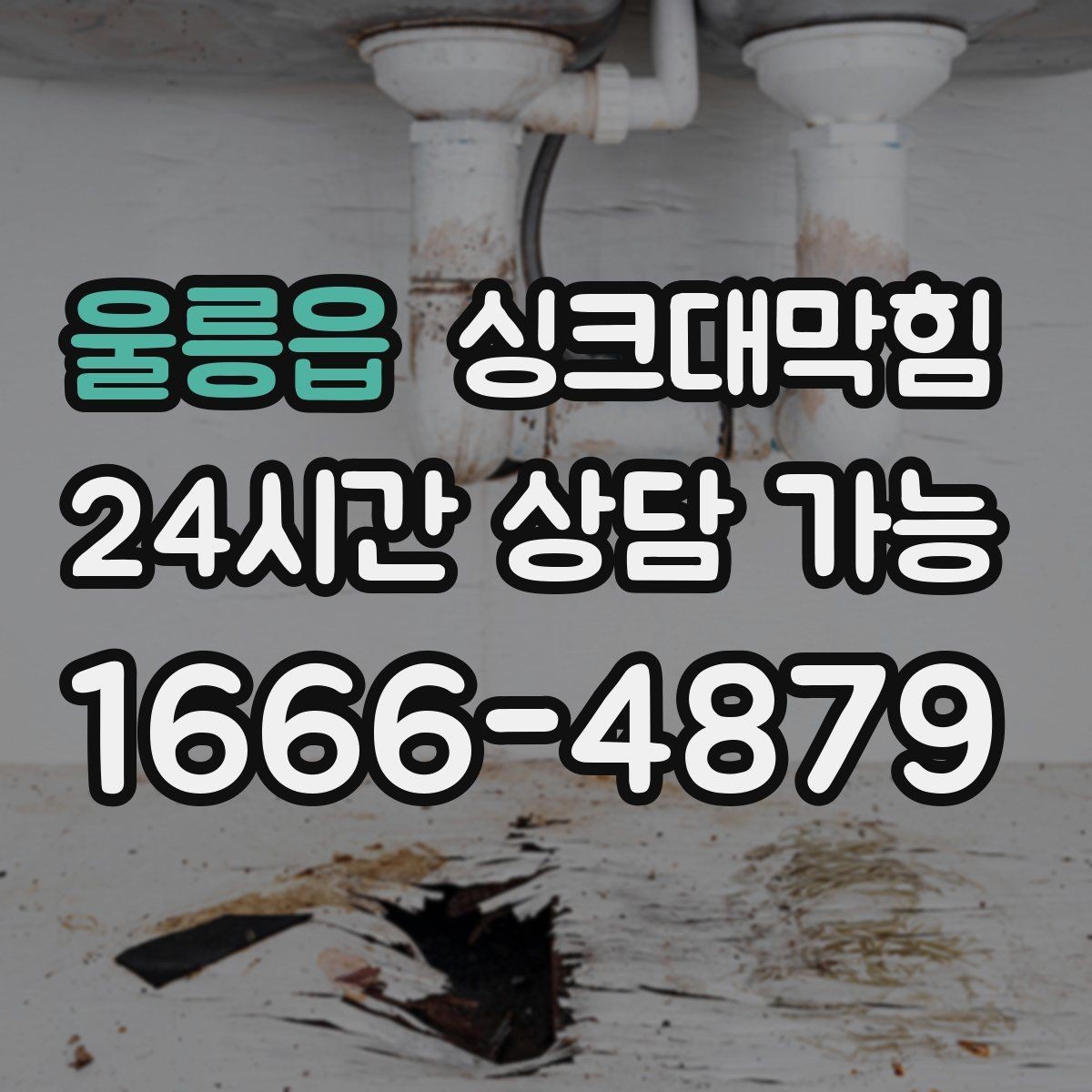 울릉읍 싱크대막힘 배수관 냄새 역류 원인 분석 리포트