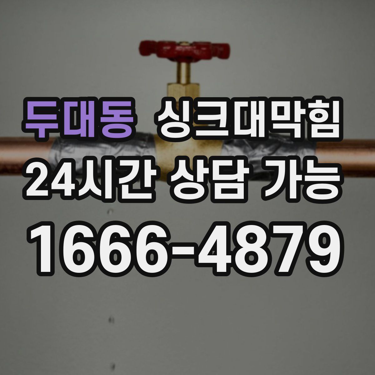 두대동 싱크대막힘