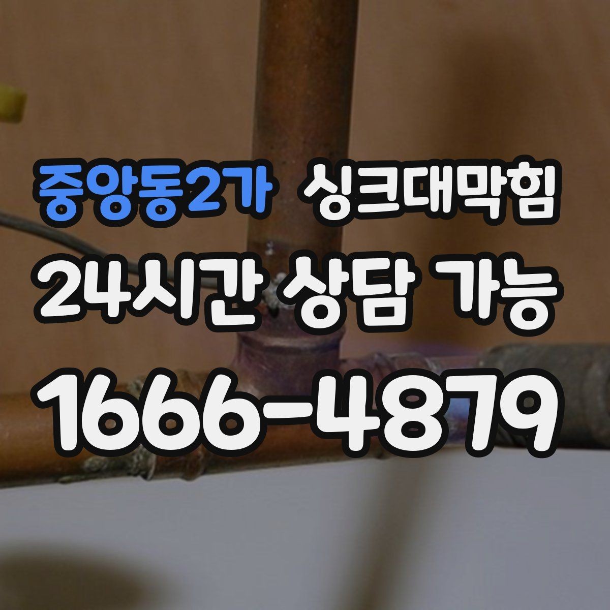 중앙동2가 싱크대막힘 카페 디스포저 라인 세정 캘린더로 지킨 오전