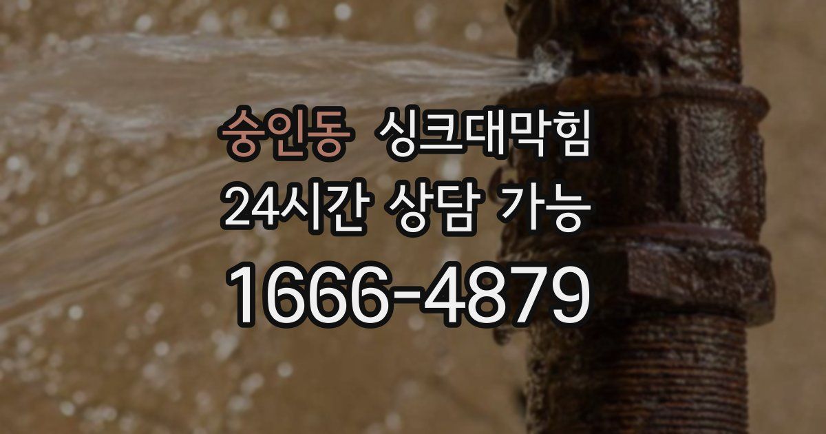 숭인동 싱크대 뚫기