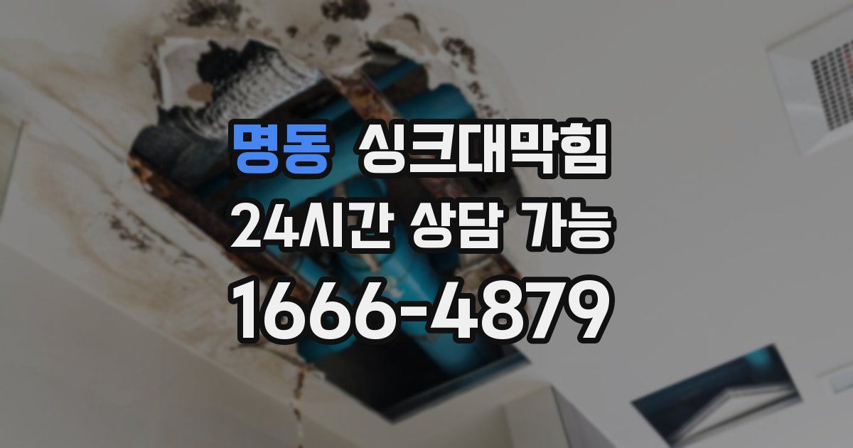 명동 싱크대 뚫기