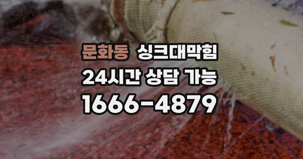 문화동 싱크대 뚫기