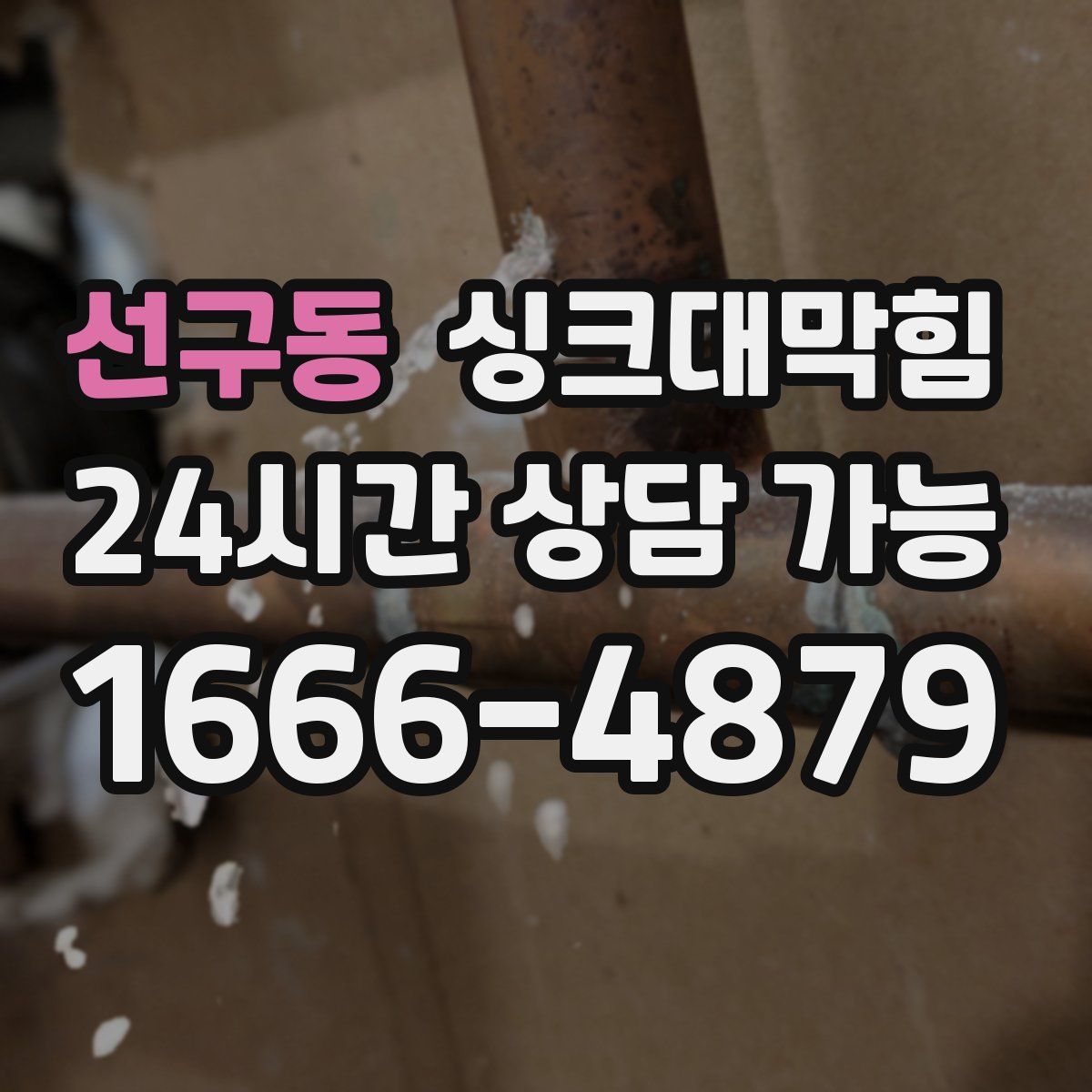 선구동 싱크대막힘