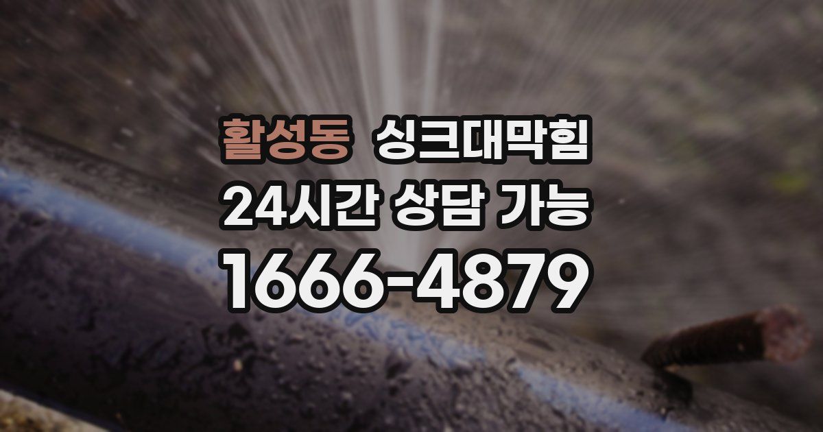 활성동 싱크대 뚫기