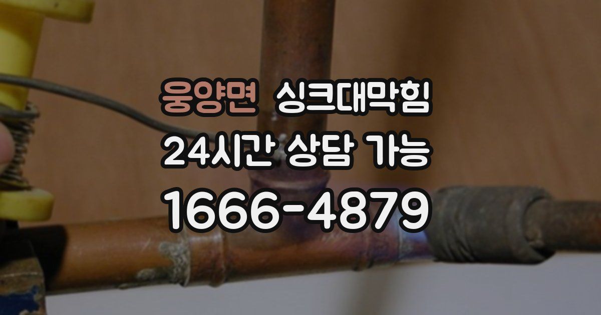 웅양면 싱크대 뚫기