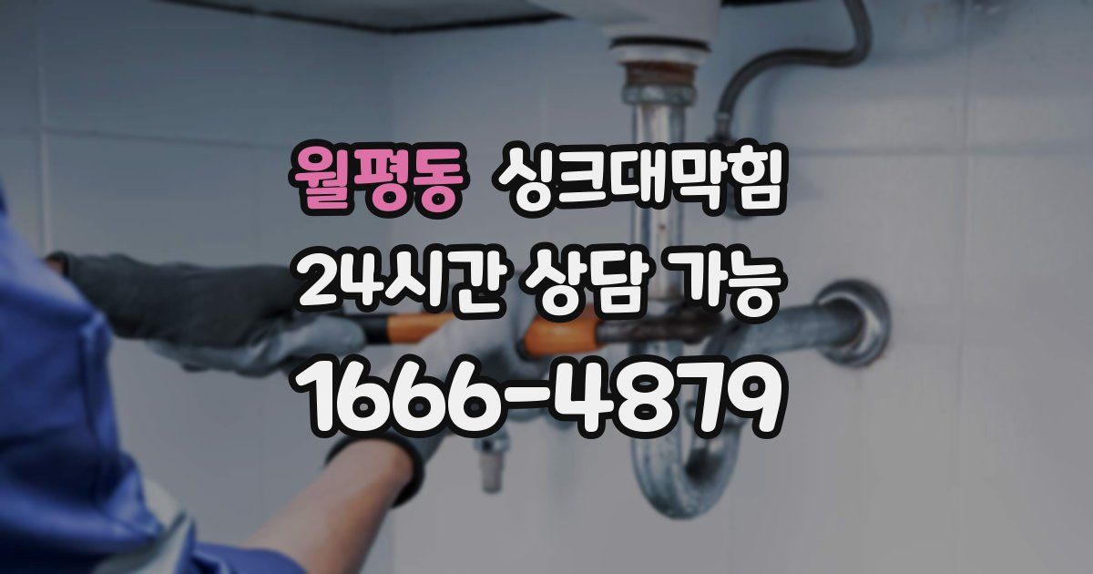 월평동 싱크대 뚫기