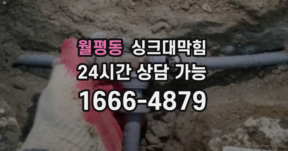 월평동 싱크대 뚫기