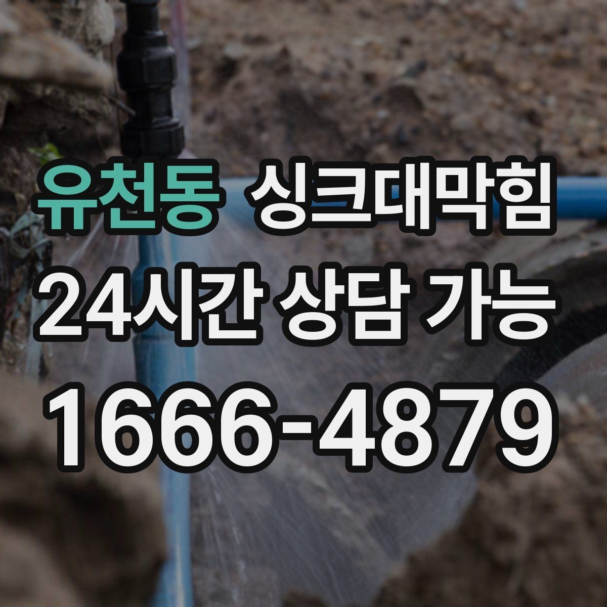 유천동 싱크대막힘 상가 키친 라인 주간 체크리스트