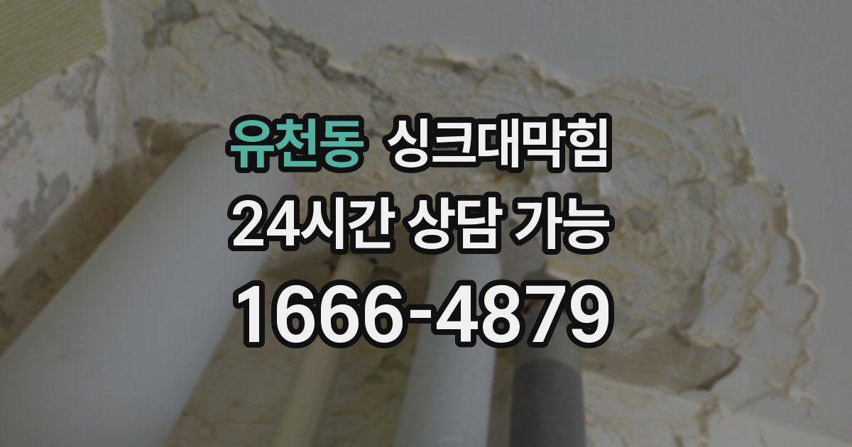 유천동 싱크대 뚫기