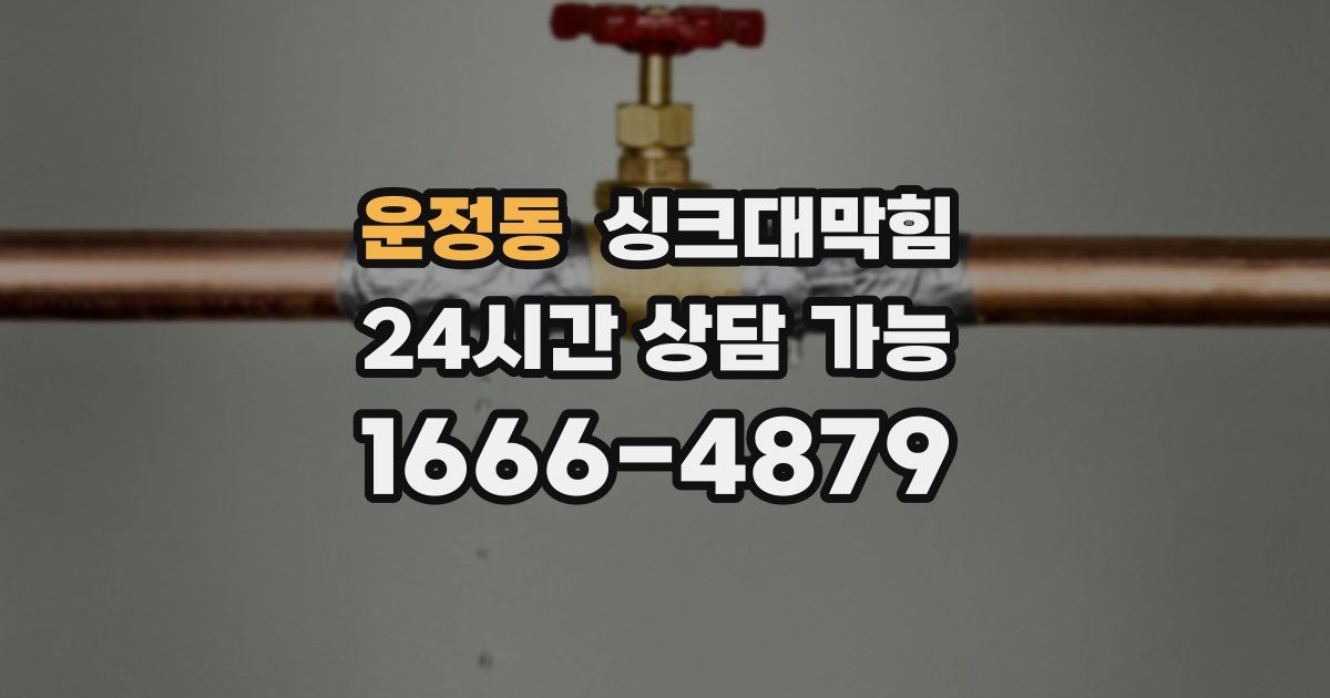 운정동 싱크대 뚫기