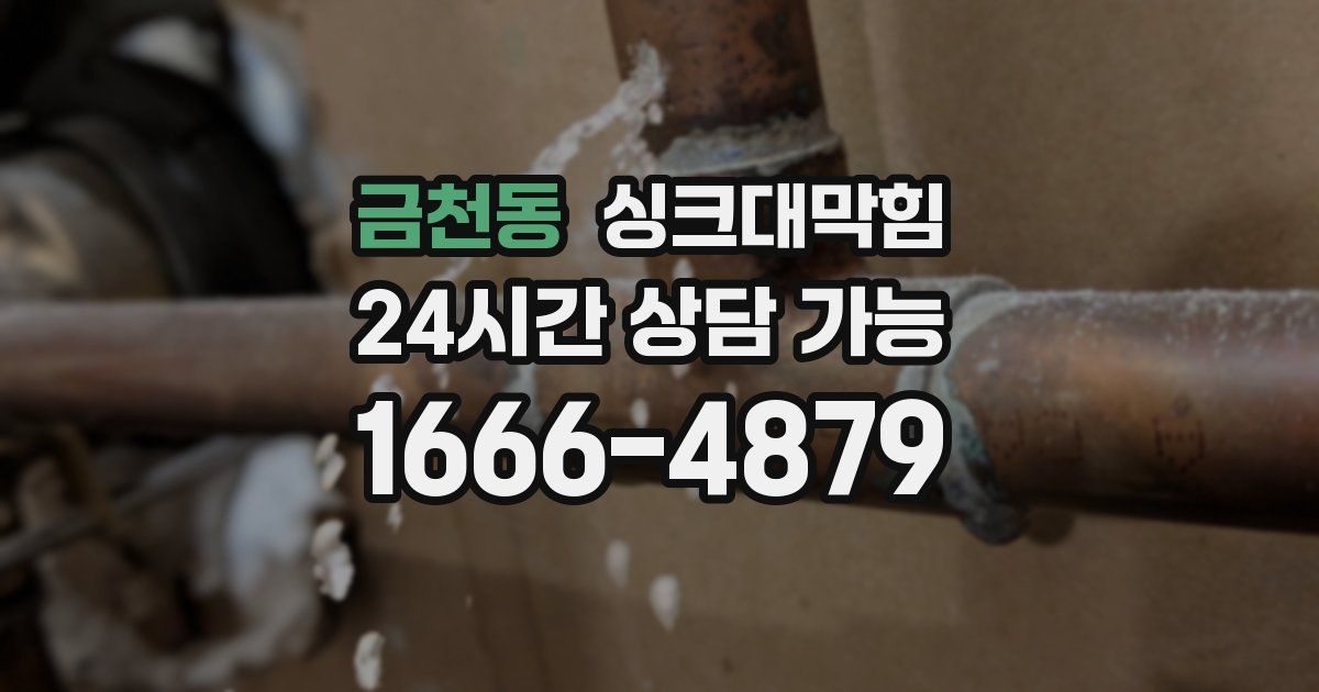 금천동 싱크대 뚫기