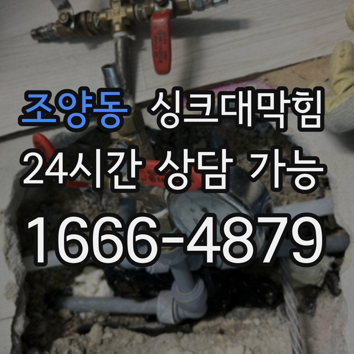조양동 싱크대막힘 사무실 주방 배수 소독 기록이 말해 준 안정감