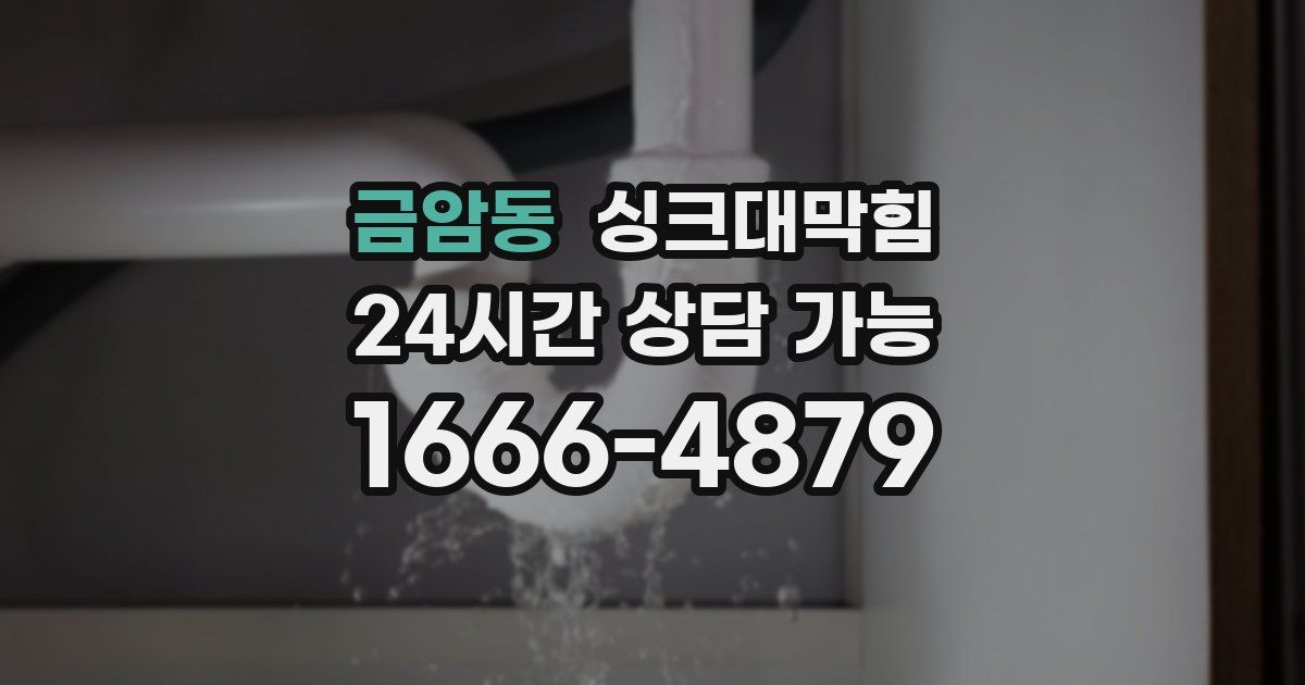 금암동 싱크대 뚫기