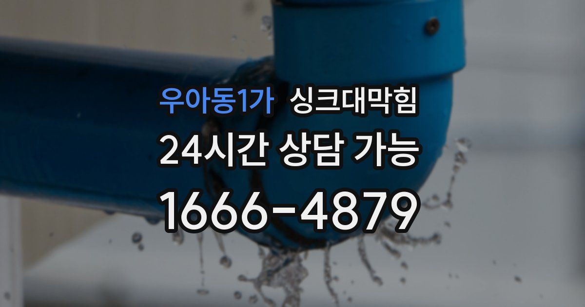 우아동1가 싱크대 뚫기