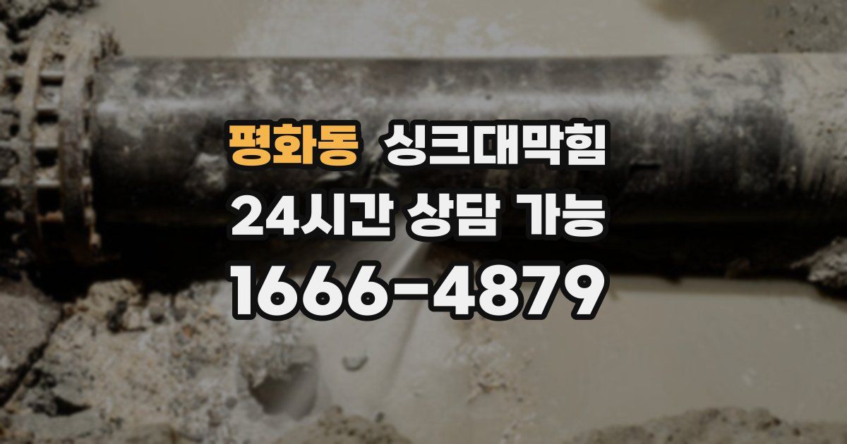평화동 싱크대 뚫기