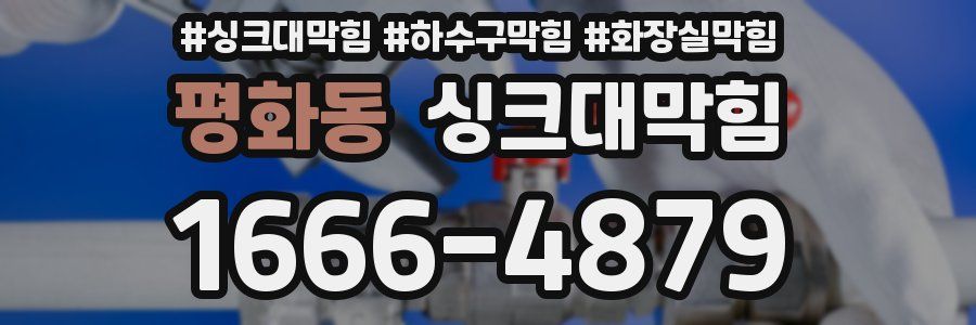 싱크대막힘
