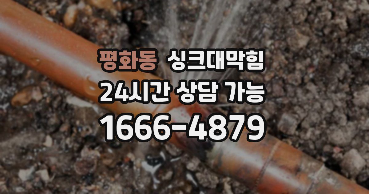 평화동 싱크대 뚫기