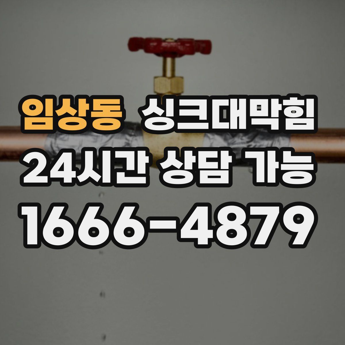 임상동 싱크대막힘