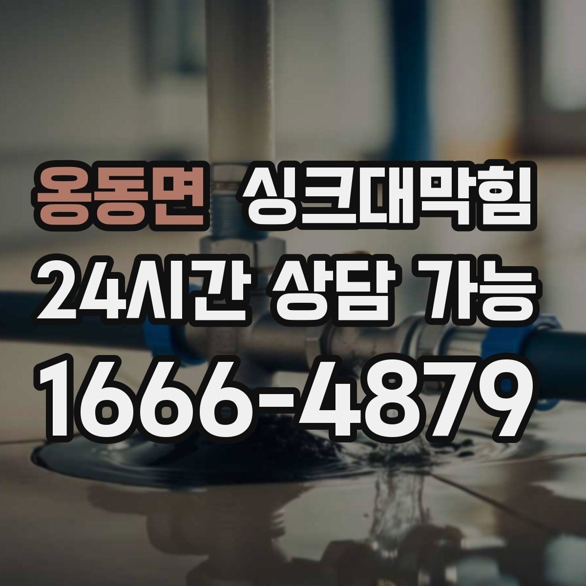 옹동면 싱크대막힘 슬러지 축적 CCTV 촬영으로 확인