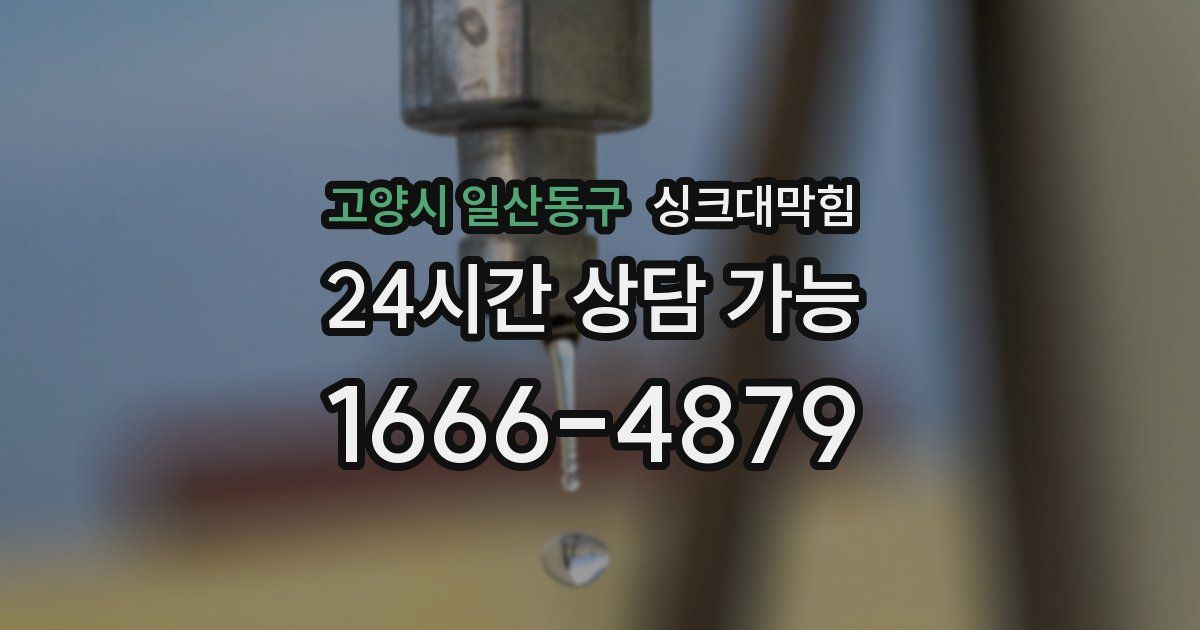 고양시 일산동구 싱크대 뚫기