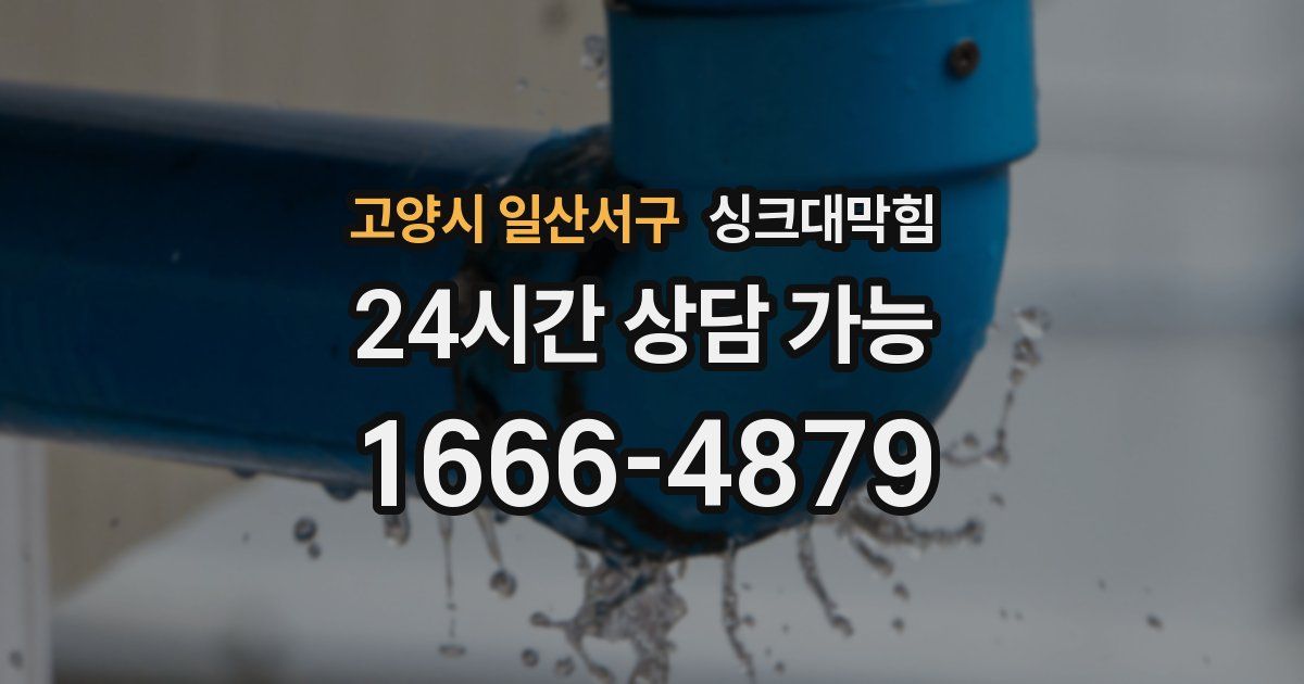 고양시 일산서구 싱크대 뚫기