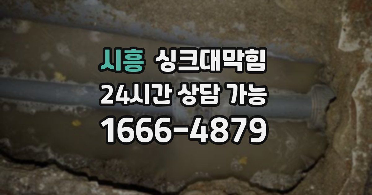 시흥 싱크대 뚫기