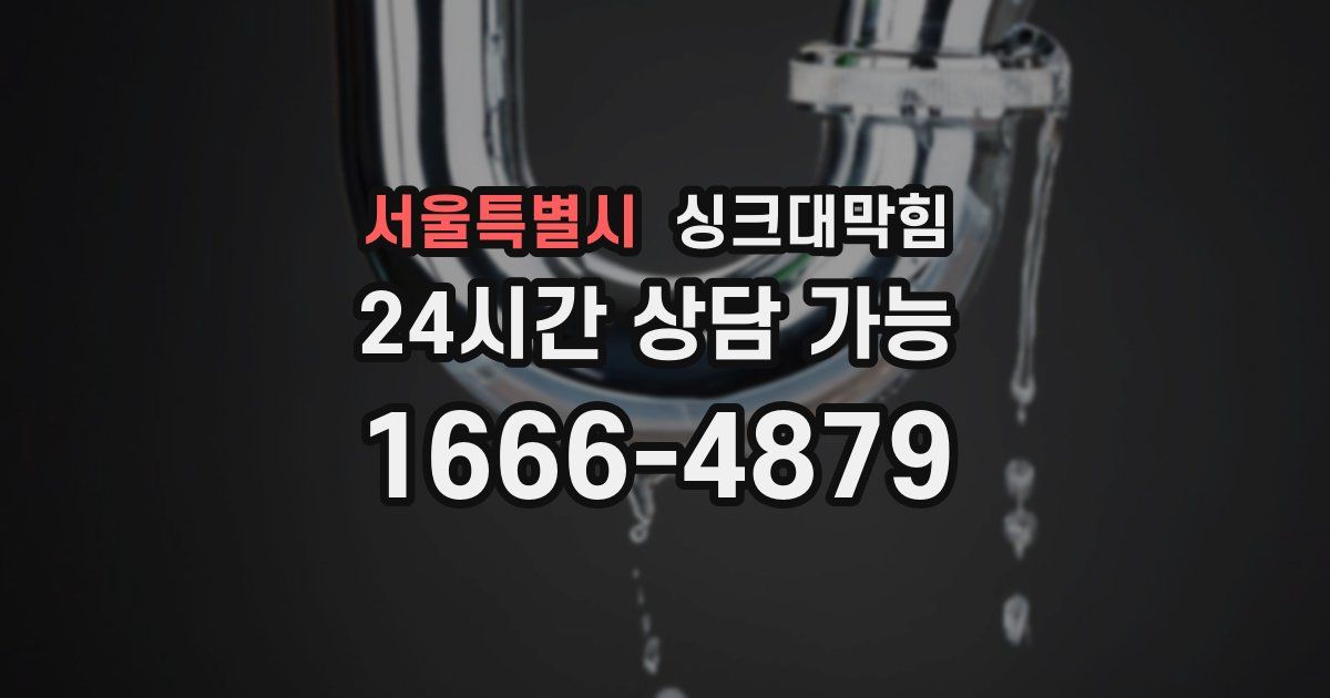 서울특별시 싱크대 뚫기
