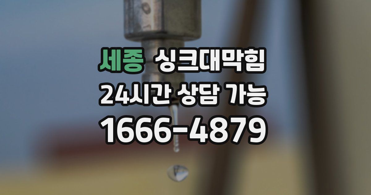 세종 싱크대 뚫기