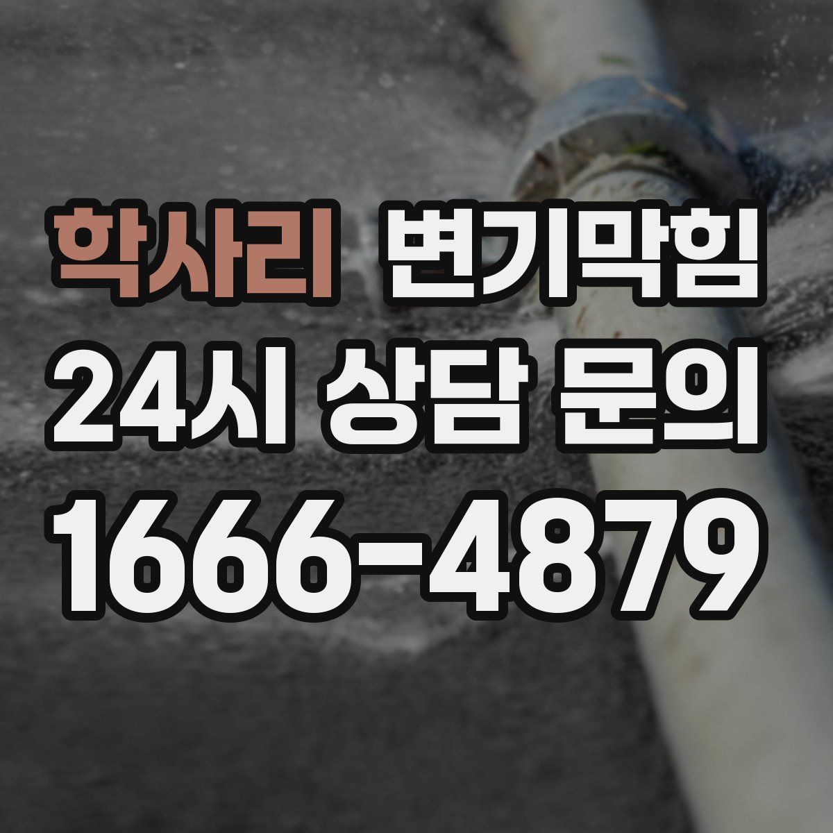 학사리 변기막힘