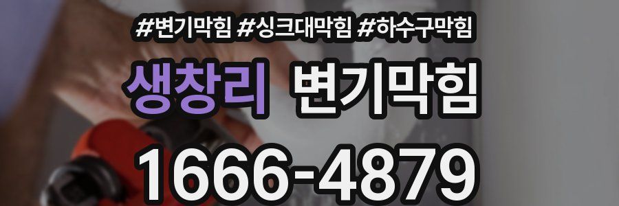 변기막힘