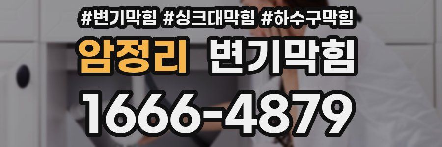 변기막힘