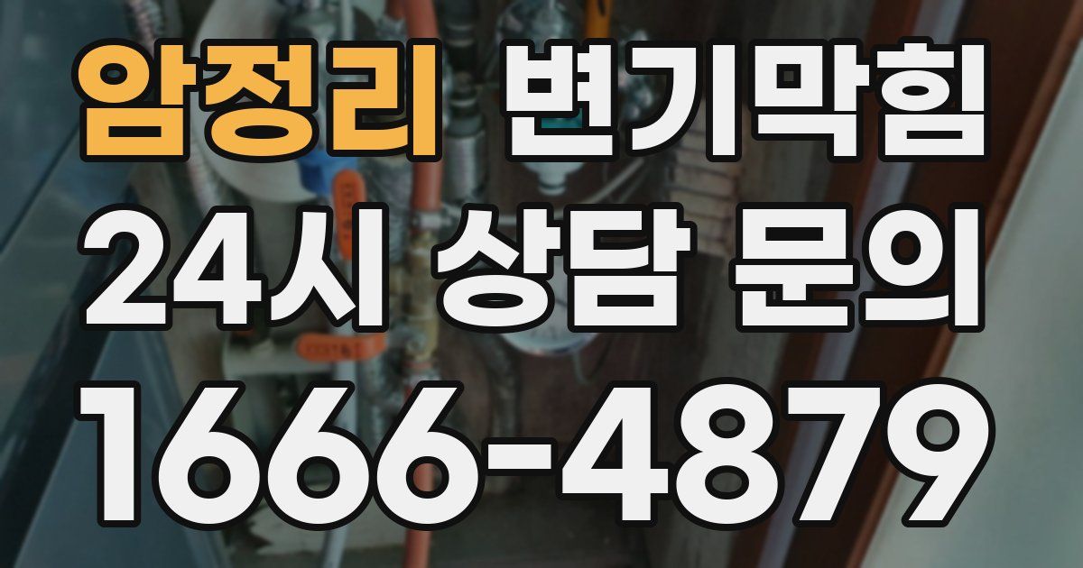 암정리 변기