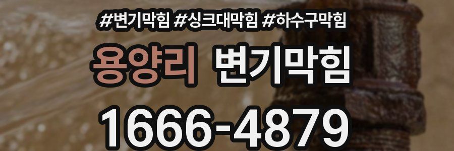 변기막힘