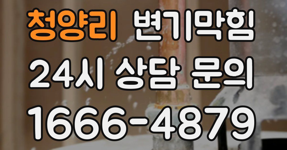 청양리 변기