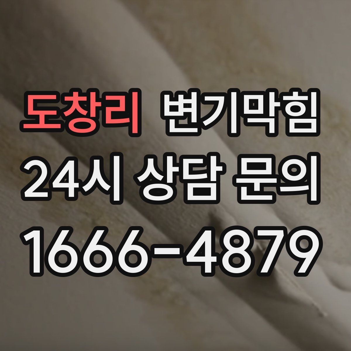 도창리 변기막힘