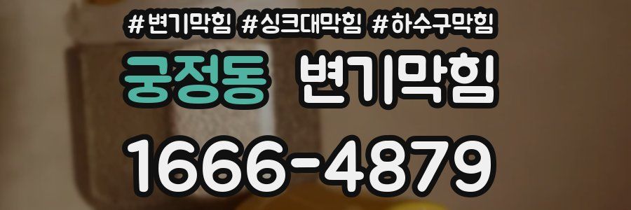 변기막힘
