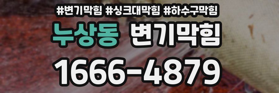 변기막힘