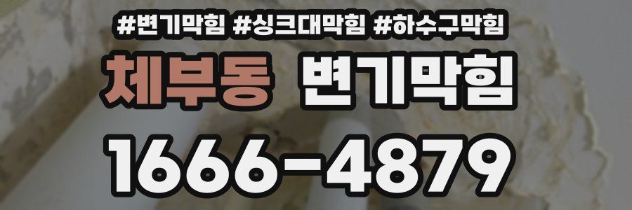 변기막힘