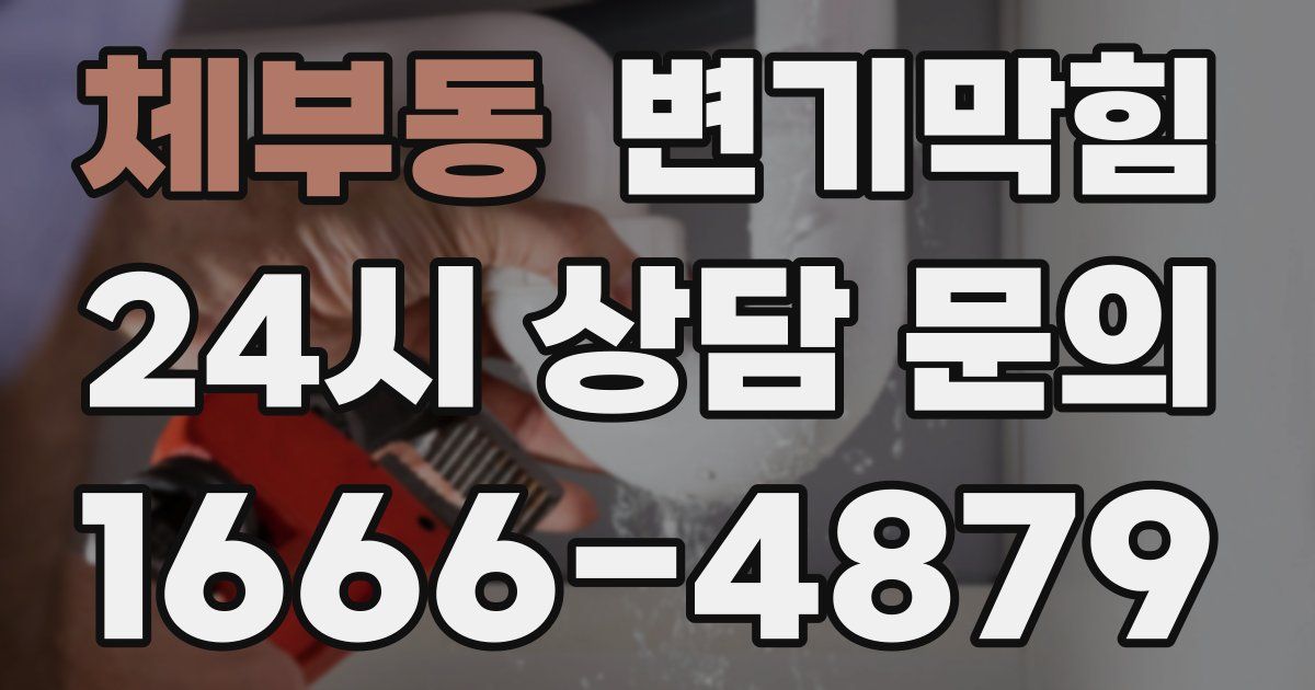 체부동 변기