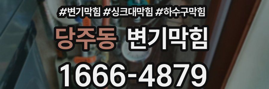 변기막힘