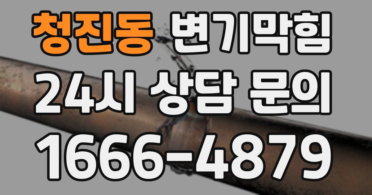 청진동 변기